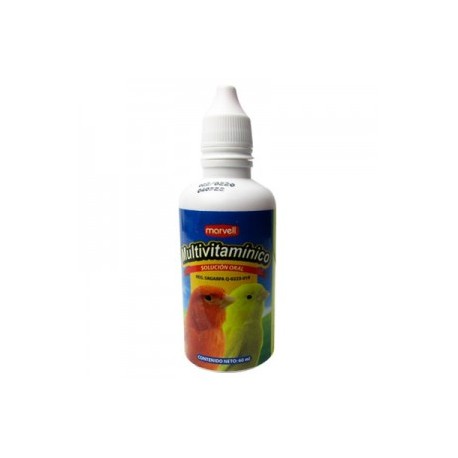 MULTIVITAMINICO 60 ML