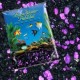 Graba para Acuario Blackberry Glo 2.2 Kilos