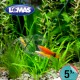 Red para Peces de Malla Gruesa 8 Centimetros