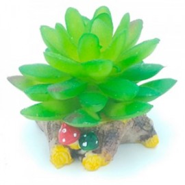 AD. SUCULENTA 3 8X8X7 CM.