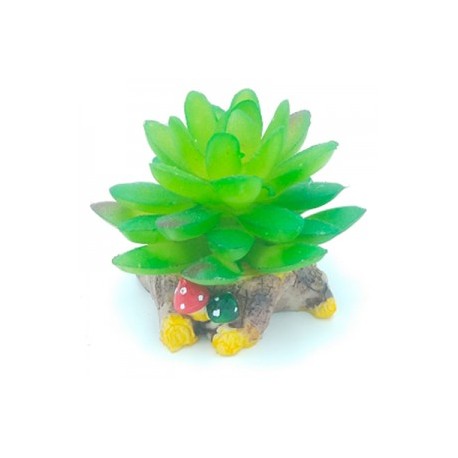 AD. SUCULENTA 3 8X8X7 CM.