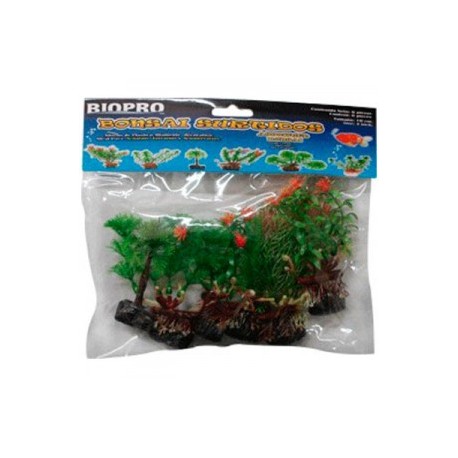 Plantas Tipo Bonsai Surtido 10 Centimetros
