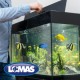 Alimento para Peces Marinos con AJO 140 Gramos