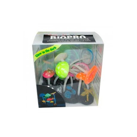 AD.JARDIN HONGOS FLUOR.