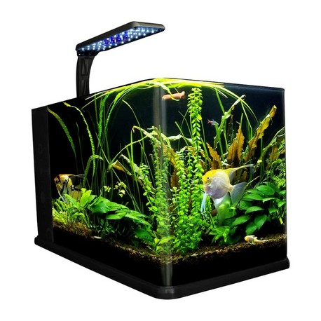 Acuario Nano Largo 14 Litros