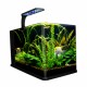 Acuario Nano Largo 14 Litros