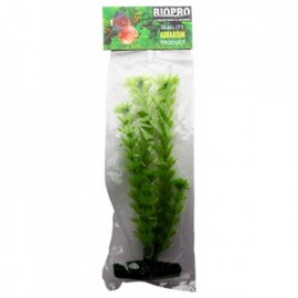PLANTA AMBULIA 21 CM