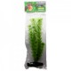PLANTA AMBULIA 21 CM