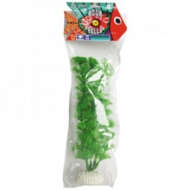 PLANTA AQUABELLA 20CM. 1PZ.