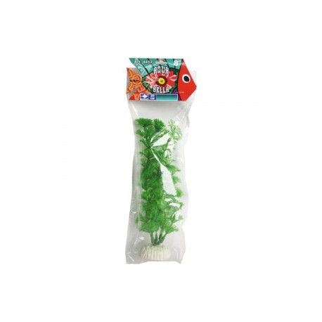 PLANTA AQUABELLA 20CM. 1PZ.