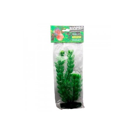 PLANTA DE CUERNOS 109 CM.