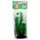 PLANTA DE CUERNOS 109 CM.