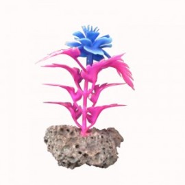 PLANTA PIEDRA 5X9 CM.