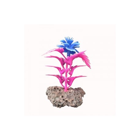 PLANTA PIEDRA 5X9 CM.