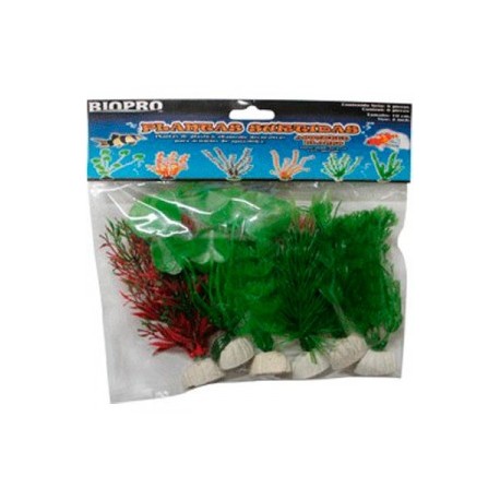 Plantas Surtidas Chicas 10 Centimetros