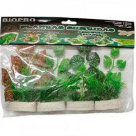 PLANTAS TERRARIO 10CM.4PZ.