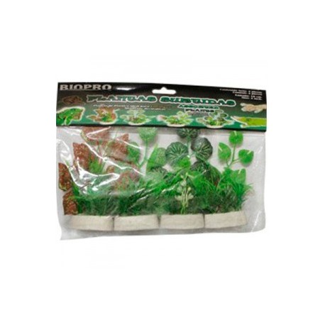 PLANTAS TERRARIO 10CM.4PZ.