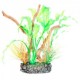 RAIZ C/PLANTAS 10 19X6X16 CM.