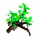 RAIZ C/PLANTAS 2 13X10X14 CM.