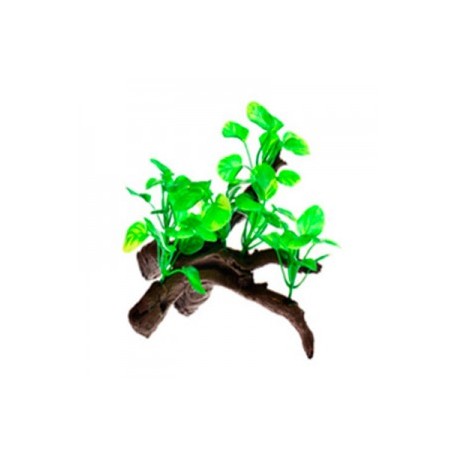 RAIZ C/PLANTAS 2 13X10X14 CM.