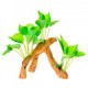 RAIZ C/PLANTAS 4 17X9X15 CM.