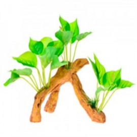 RAIZ C/PLANTAS 4 17X9X15 CM.