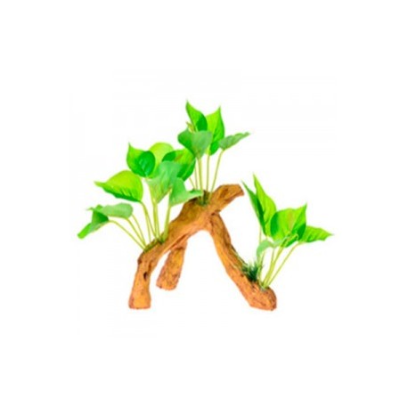 RAIZ C/PLANTAS 4 17X9X15 CM.