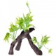 RAIZ C/PLANTAS 5 17X9X15 CM.