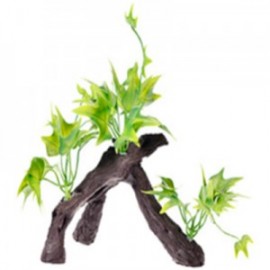 RAIZ C/PLANTAS 5 17X9X15 CM.