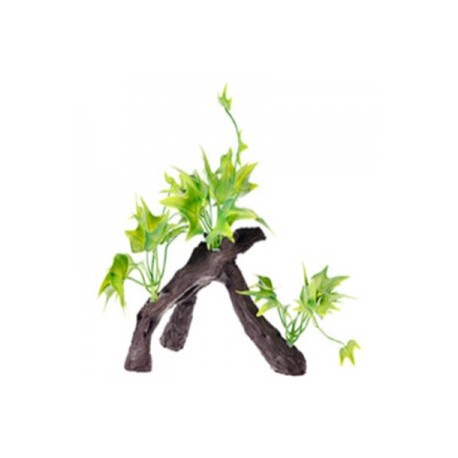 RAIZ C/PLANTAS 5 17X9X15 CM.
