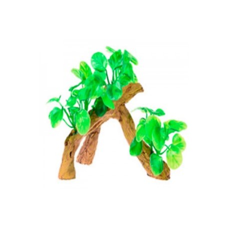 RAIZ C/PLANTAS 6 17X9X15 CM.