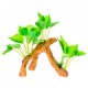 RAIZ C/PLANTAS 7 17X9X15 CM.