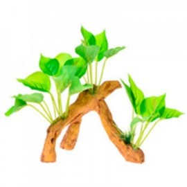 RAIZ C/PLANTAS 7 17X9X15 CM.