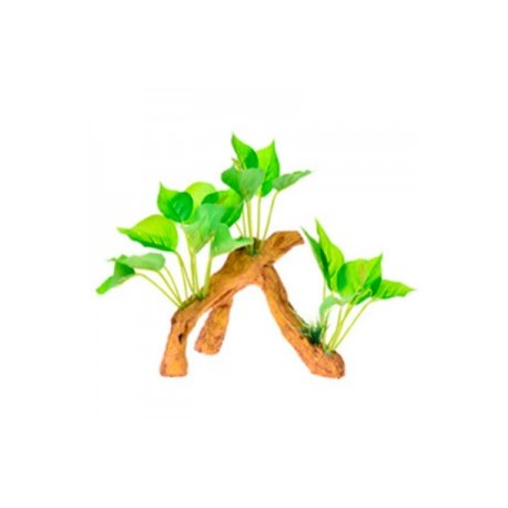 RAIZ C/PLANTAS 7 17X9X15 CM.