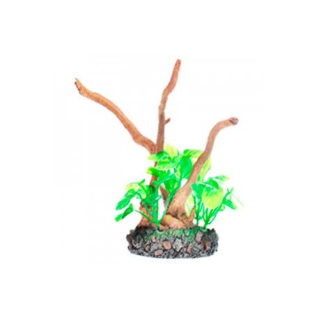 RAIZ C/PLANTAS 8 19X6X16 CM.