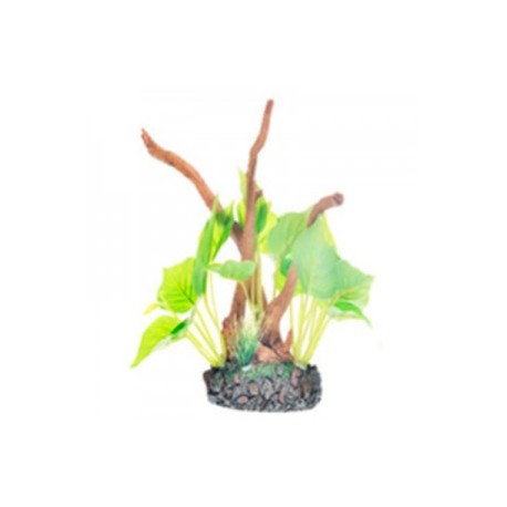 RAIZ C/PLANTAS 9 19X6X16 CM.