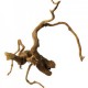 RAIZ DE VIÑEDO 50-70 CM.