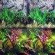 RESP. D/VISTA 40CM X 15M.-21