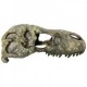 CABEZA REX 23X12X11 CM.