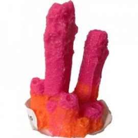 CORAL 2 PICOS 2X3X3 CM.