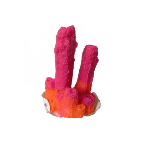 CORAL 2 PICOS 2X3X3 CM.