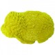CORAL ABANICO 25X3X17 CM.