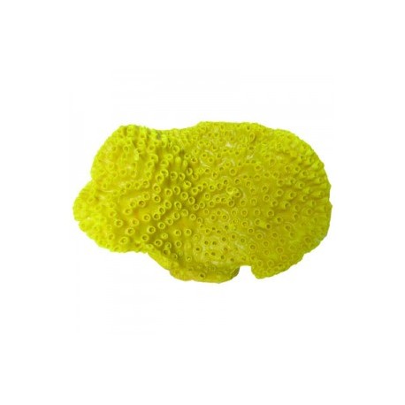 CORAL ABANICO 25X3X17 CM.