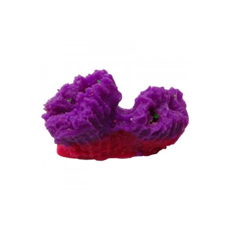 CORAL PUSH 2 PICOS 3X2X3 CM.