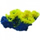 CORAL PUSH 4 PICOS 3X2X3 CM.
