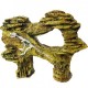FOSIL TIRANOSAURIO 11X4X14 CM.