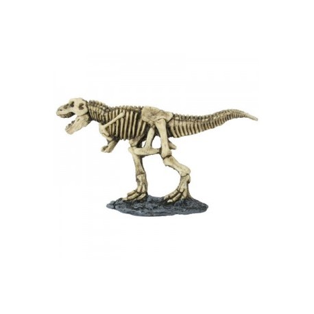 TIRANOREX 20X2X10 CM.