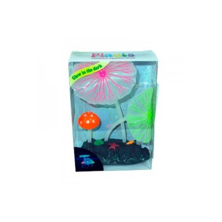 AD.2 PLANTAS+2 HONGOS FLUOR.