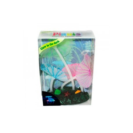 AD.4 PLANTAS FLUORESCENTE