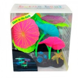 AD.6 PLANTAS+3 HONGOS FLUOR.